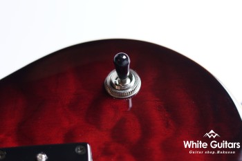 Z22QQ - Trans Red Burst
